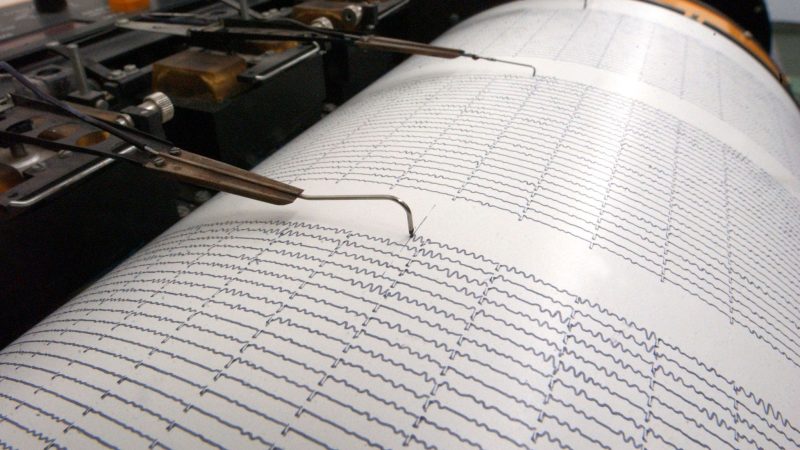Ein Seismograph: Wieder erschütterte ein Beben Taiwan. (Symbolbild)