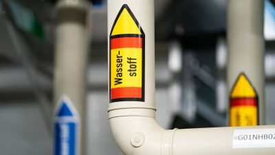 Nach Protest auf Rügen: Erneuerbaren-Verband will Wasserstoffpläne stoppen