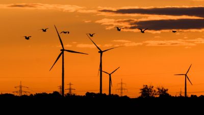 Vögel fliegen bei Sonnenaufgang vor Windkraftanlagen in der Region Hannover.
