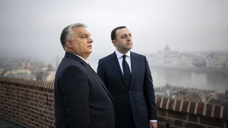 Orbán besorgt Strom aus Georgien – und will im Gegenzug mit EU-Beitritt helfen