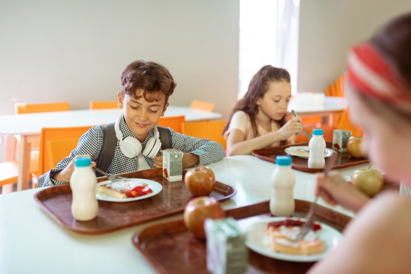 Kitas & Grundschulen in Freiburg: Kein Fisch, kein Fleisch