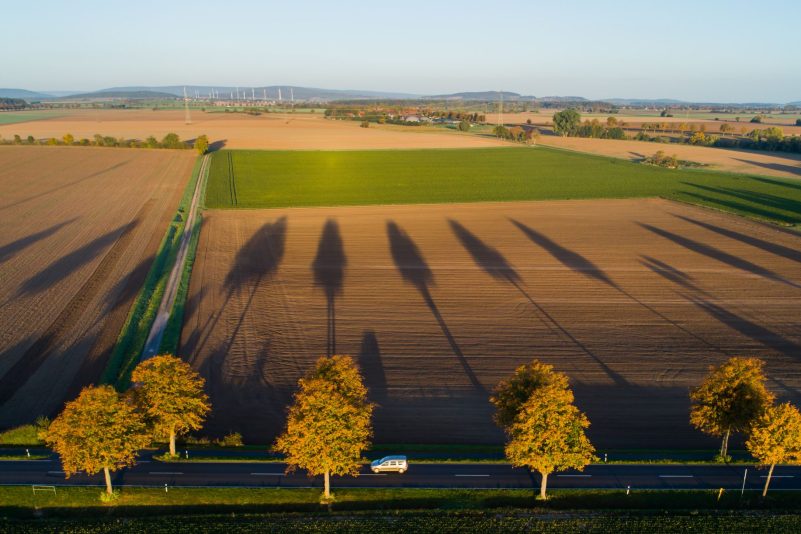 Autos fahren am Morgen bei Sonnenaufgang durch eine Allee mit herbstlich verfärbten Bäumen in der Region Hannover.