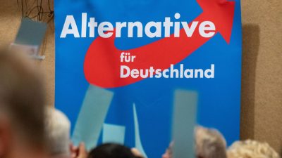 Umfrage sieht AfD in Brandenburg vor der SPD