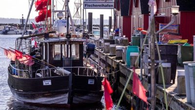 Fischereiquoten in der Ostsee: Weiter Fangverbote für Dorsch und Hering