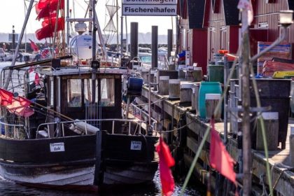 Fischereiquoten in der Ostsee: Weiter Fangverbote für Dorsch und Hering