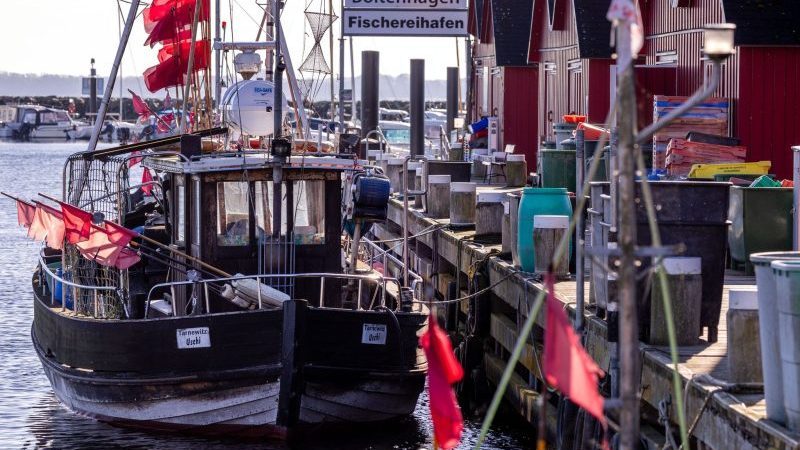 Der hölzerne Fischkutter TAR006 liegt im kleinen Fischerhafen in Tarnewitz. Für Mitte Oktober erwarten die Fischer die neuen Festlegungen für die Fischfangmengen in der Ostsee durch die EU.