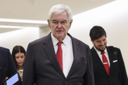 Gingrich: Republikaner haben fast 5 Millionen Stimmen mehr und doch viele Rennen verloren