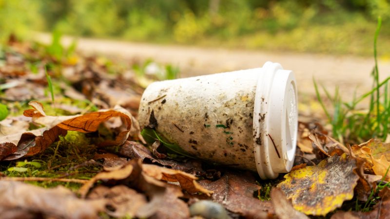 60 Prozent der „kompostierbaren“ Kunststoffe werden nicht vollständig abgebaut