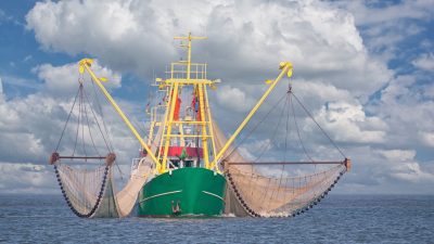 Identifizierung unerwünscht: Illegaler Fischfang weltweit