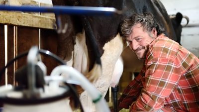 Nicht bereit für „kostspielige Tierwohl-Experimente“: Bauern kommentieren die „EuroTier“-Messe