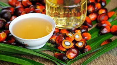 Palmöl – die alltägliche Zutat und ihre Gesundheitsrisiken