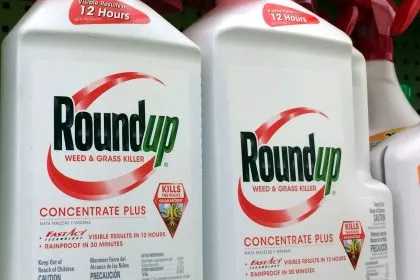 Keine kritischen Bedenken der EFSA: Glyphosat weiterhin in der EU zugelassen