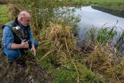 „Wie der Wolf“ – Streit um Umgang mit dem Fischotter