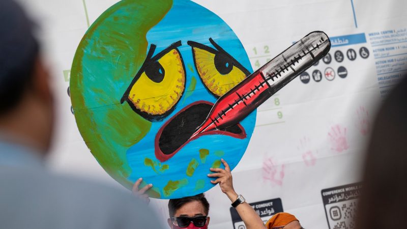 Protest beim UN-Klimagipfel COP27.