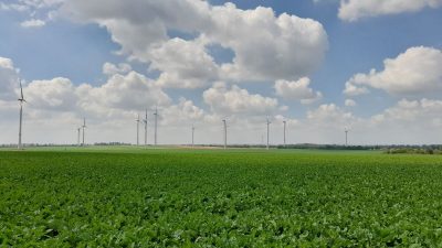 Strom knapp – Klimaziele trotzdem verfehlt? Zu wenige Windräder in Deutschland