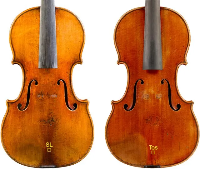 Aufnahmen im Nanometerbereich enthüllten eine Schicht auf Proteinbasis zwischen dem Holz und der Lackschicht der beiden Stradivari-Geigen. Foto: ACS nach Malagodi et al. (2022)
