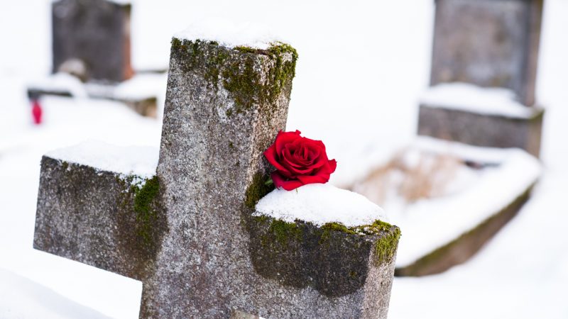 Eine einzelne Rose auf einem Friedhof. Erneut verzeichnet Deutschland eine deutliche Übersterblichkeit.