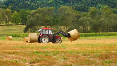 Landwirte gegen Kritik des ifo Instituts: „Konzerne verhindern den Wettbewerb“
