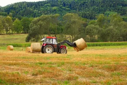 Landwirte gegen Kritik des ifo Instituts: „Konzerne verhindern den Wettbewerb“