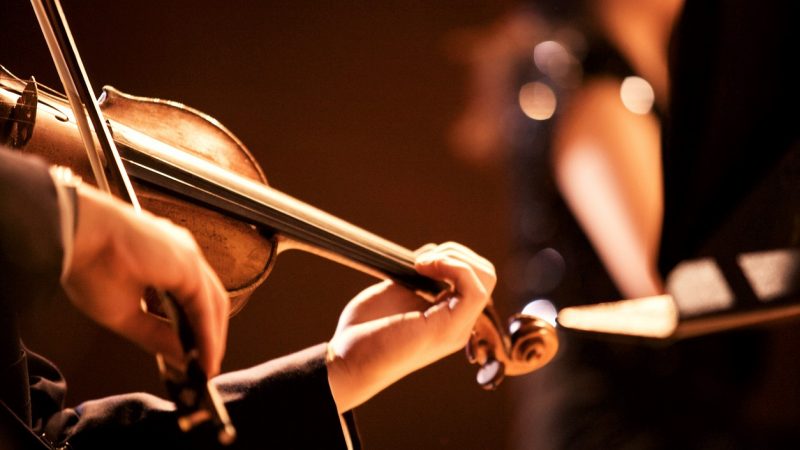 Violinen von Stradivari bergen ein klangvolles Geheimnis zwischen Lack und Holz.