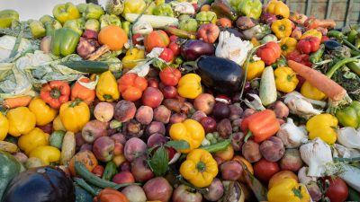 Täglich landen Gemüse, Obst und andere Lebensmittel achtlos auf dem Müll - nicht nur in Supermärkten. Foto: iStock