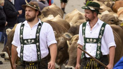 Wie geht es der bayerischen Milchwirtschaft?
