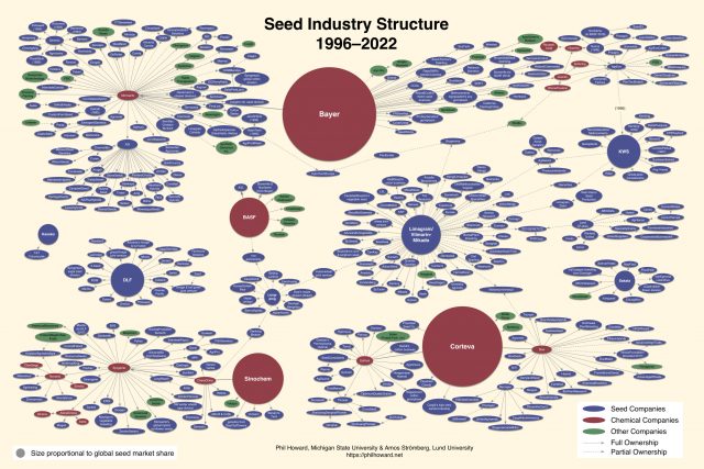 Vier große Saatgut-Monopole kontrollieren über 60 Prozent des Weltmarktes.