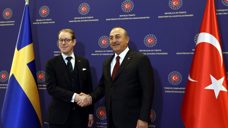 Der türkische Außenminister Mevlut Cavusoglu (r) mit seinem Amtskollegen Tobias Billstrom Ende Dezember 2022 in Ankara.