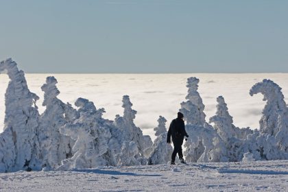 Wochenrückblick: Vom norwegischen Großauftrag für Munition bis zum Flugzeug mit 52 Metern Flügelspannweite