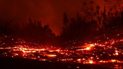 Notstand in Chile: Waldbrände fordern bereits 23 Tote und fast 1.000 Verletzte