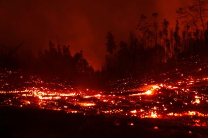 Notstand in Chile: Waldbrände fordern bereits 23 Tote und fast 1.000 Verletzte