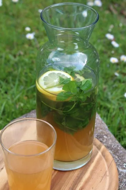 Erfrischende Gierschlimonade, die auch Kindern schmeckt.