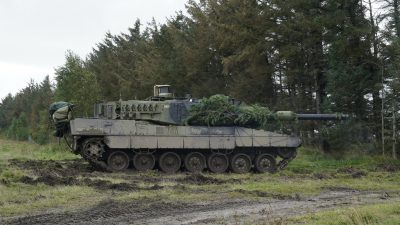 Bundesregierung genehmigt weitere Panzerlieferung an die Ukraine