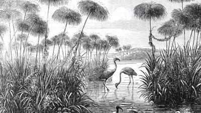 Die Flamingos – von Rainer Maria Rilke