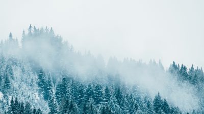 Winter – von Heinrich Heine