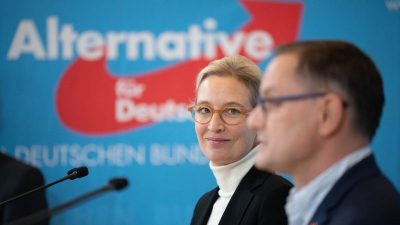 AfD bei 19 Prozent – und vor SPD (18) und Grünen (14)