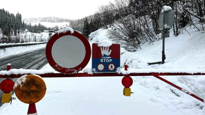Die jüngsten Schneefälle in Österreich haben zu großer Lawinengefahr und erheblichen Behinderungen auf den Straßen geführt.