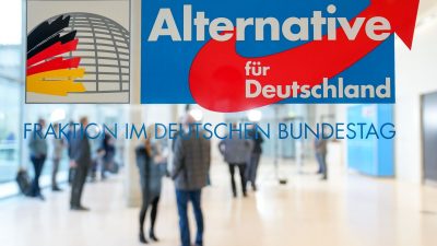 Vertreten ist die AfD bis auf Schleswig-Holstein in allen deutschen Landtagen und seit 2017 auch im Bundestag.