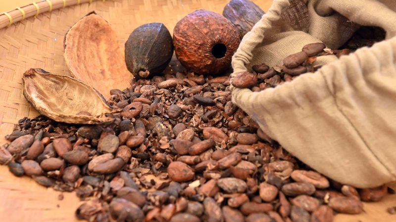 70 Prozent des weltweiten Kakaos kommt aus Westafrika. Doch unter welchen Umständen wird es produziert? Das EU-Lieferkettengesetz soll das nun kontrollieren.