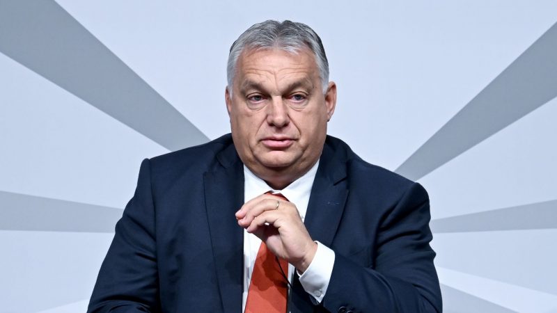 «Die wirtschaftlichen Beziehungen zu Russland pflegen wir weiter, und das empfehlen wir auch unseren Bündnispartnern»: Viktor Orban.