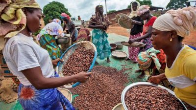 Kakaobäuerinnen in der Elfenbeinküste.