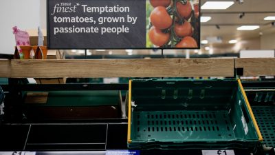 Gemüsekrise in Großbritannien – Produzenten warnen wegen Lieferproblemen