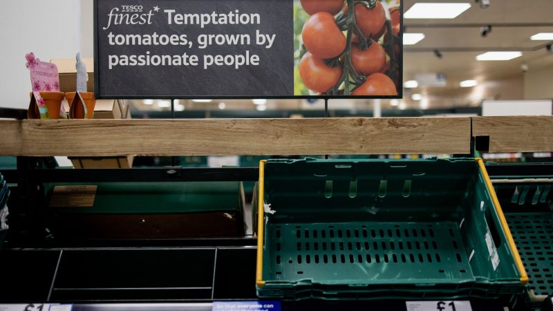 Ein leeres Gemüseregal in einem Londoner Supermarkt. Supermarktketten wie Tesco haben Rationierungen und Kaufbeschränkungen für bestimmte Obst- und Gemüsesorten angekündigt.