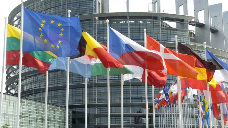 Die Flaggen der Mitgliedsländer der Europäischen Union vor dem Europa-Parlament in Straßburg.