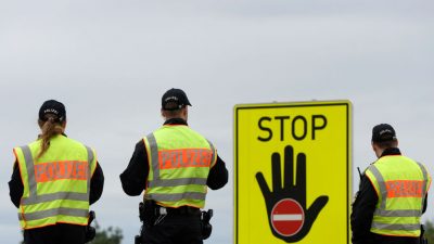 Illegale Einreisen: AfD und CDU fordern stationäre Grenzkontrollen