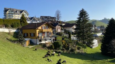 Deutsche in der Schweiz: Auswanderer profitieren von hohen Löhnen und niedrigen Steuern