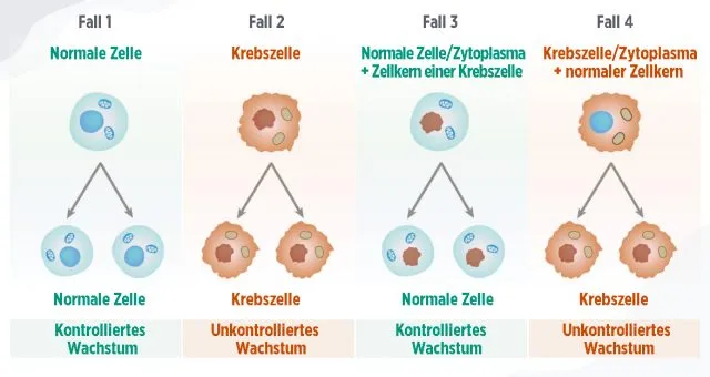 Zellversuche legen nahe, dass Krebs keine genetische Störung ist.