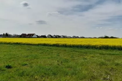 Wohnungsnot in Metropolen: Städte- und Gemeindebund empfiehlt Umzug aufs Land