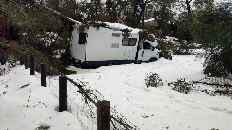Ein Wohnmobil ist von einem durch Schnee eingestürzten Baum auf MNallorca eingeklemmt.