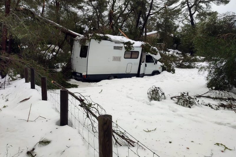 Ein Wohnmobil ist von einem durch Schnee eingestürzten Baum auf MNallorca eingeklemmt.